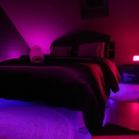 Love-Room-Alsace-67 L'Escale Du Desir - Balancoire D'Amour, Croix De Saint Andre, Menottes Et Fauteuil Tantra Niederbronn-les-Bains Room photo